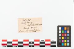 Foto von Eisenring (NHMW-PRAE-048338)